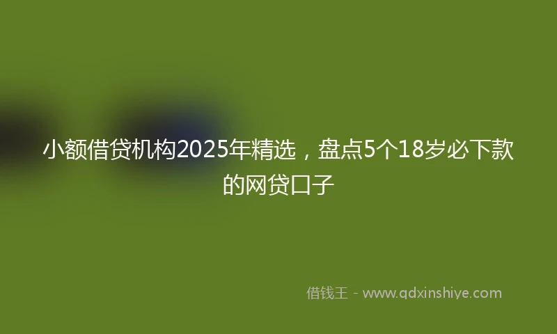 小额借贷机构2025年精选，盘点5个18岁必下款的网贷口子