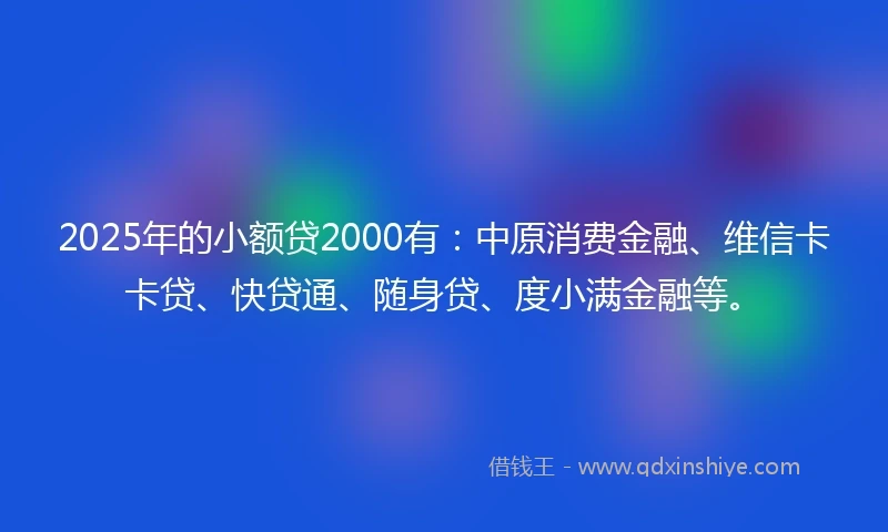 2025年的小额贷2000有：中原消费金融、维信卡卡贷、快贷通、随身贷、度小满金融等。