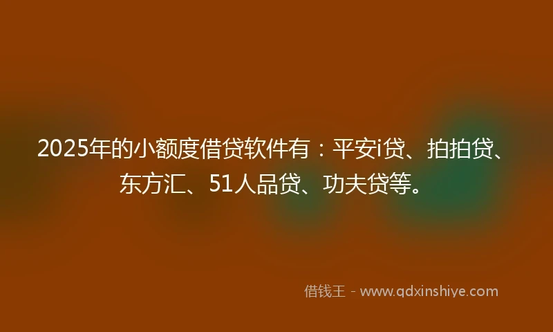 2025年的小额度借贷软件有：平安i贷、拍拍贷、东方汇、51人品贷、功夫贷等。