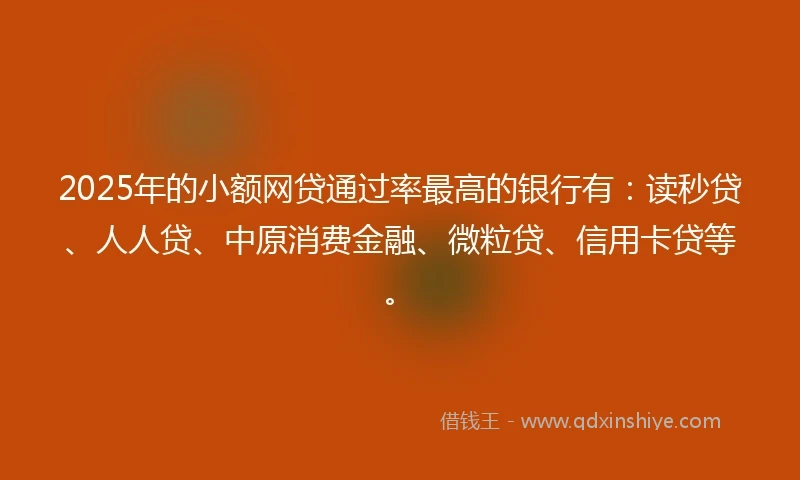 2025年的小额网贷通过率最高的银行有：读秒贷、人人贷、中原消费金融、微粒贷、信用卡贷等。