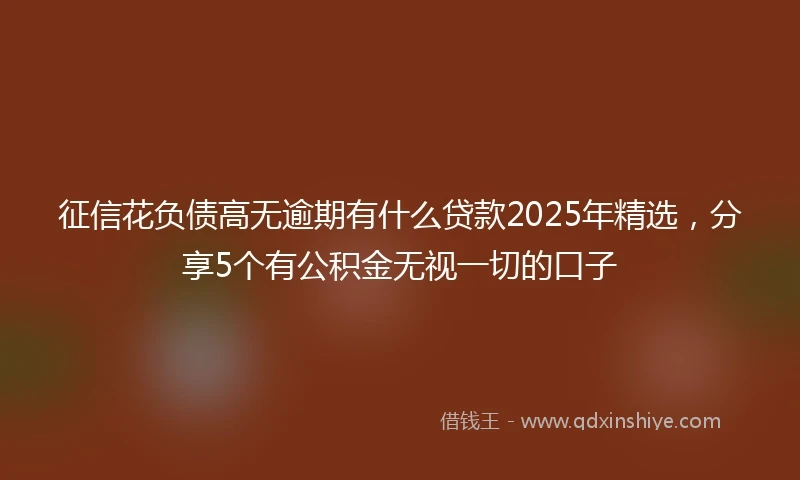 征信花负债高无逾期有什么贷款2025年精选，分享5个有公积金无视一切的口子