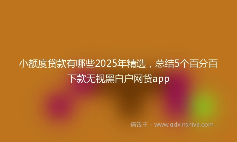 小额度贷款有哪些2025年精选，总结5个百分百下款无视黑白户网贷app