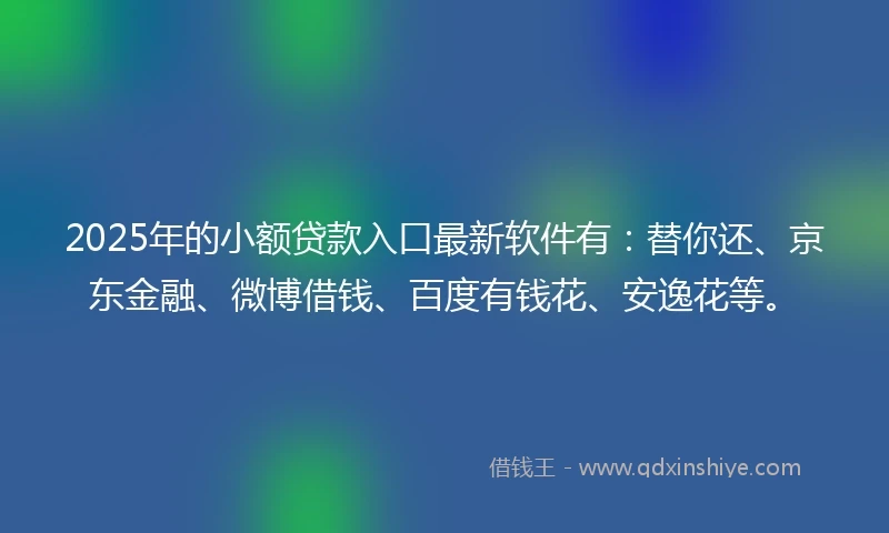 2025年的小额贷款入口最新软件有：替你还、京东金融、微博借钱、百度有钱花、安逸花等。