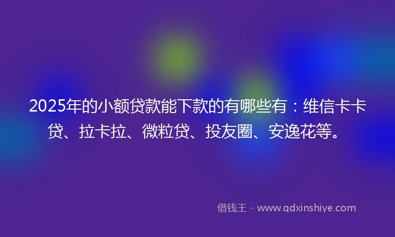 2025年的小额贷款能下款的有哪些有：维信卡卡贷、拉卡拉、微粒贷、投友圈、安逸花等。