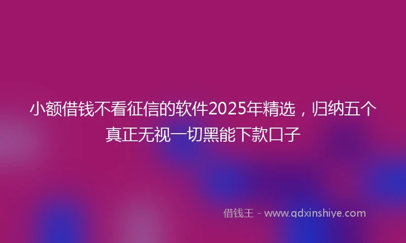 小额借钱不看征信的软件2025年精选，归纳五个真正无视一切黑能下款口子