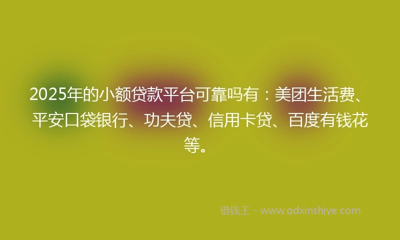 2025年的小额贷款平台可靠吗有：美团生活费、平安口袋银行、功夫贷、信用卡贷、百度有钱花等。