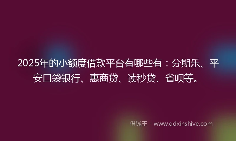 2025年的小额度借款平台有哪些有：分期乐、平安口袋银行、惠商贷、读秒贷、省呗等。