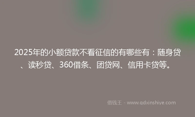 2025年的小额贷款不看征信的有哪些有：随身贷、读秒贷、360借条、团贷网、信用卡贷等。