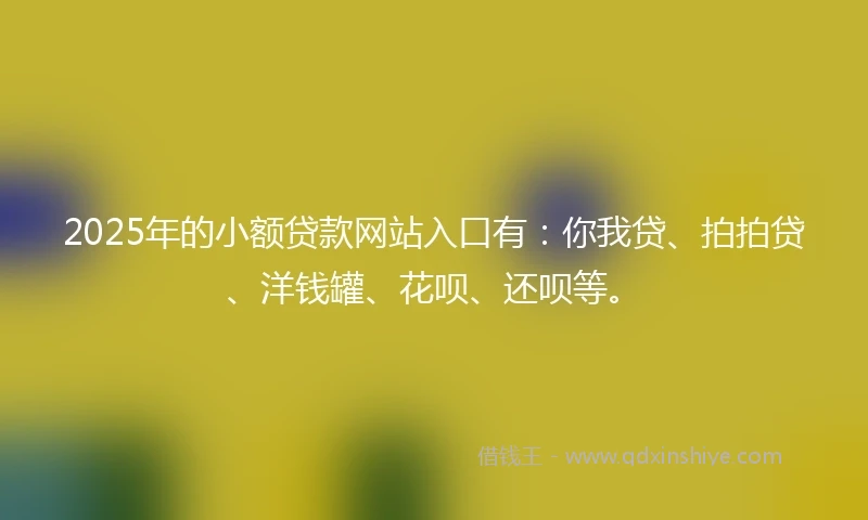 2025年的小额贷款网站入口有：你我贷、拍拍贷、洋钱罐、花呗、还呗等。