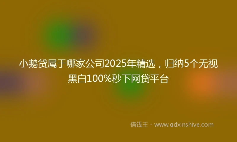 小鹅贷属于哪家公司2025年精选，归纳5个无视黑白100%秒下网贷平台