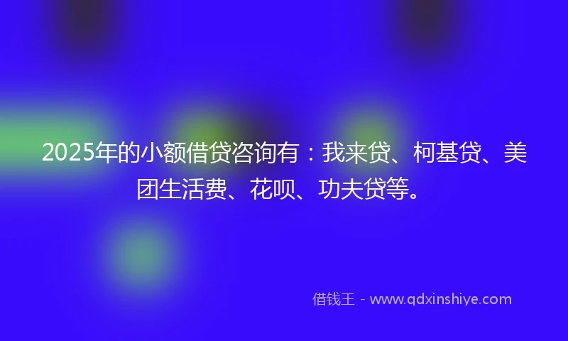2025年的小额借贷咨询有：我来贷、柯基贷、美团生活费、花呗、功夫贷等。