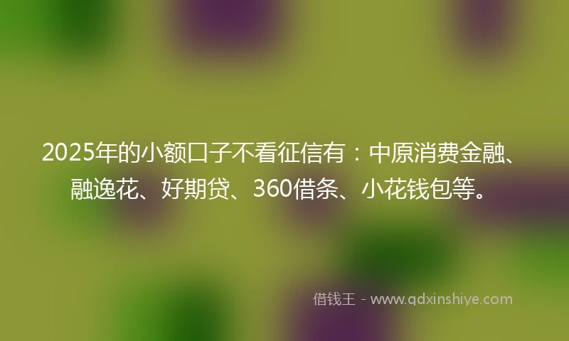 2025年的小额口子不看征信有：中原消费金融、融逸花、好期贷、360借条、小花钱包等。