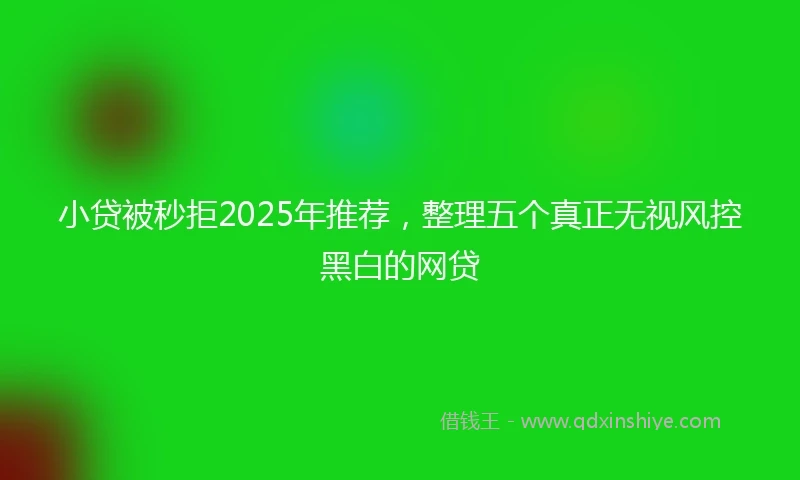 小贷被秒拒2025年推荐，整理五个真正无视风控黑白的网贷