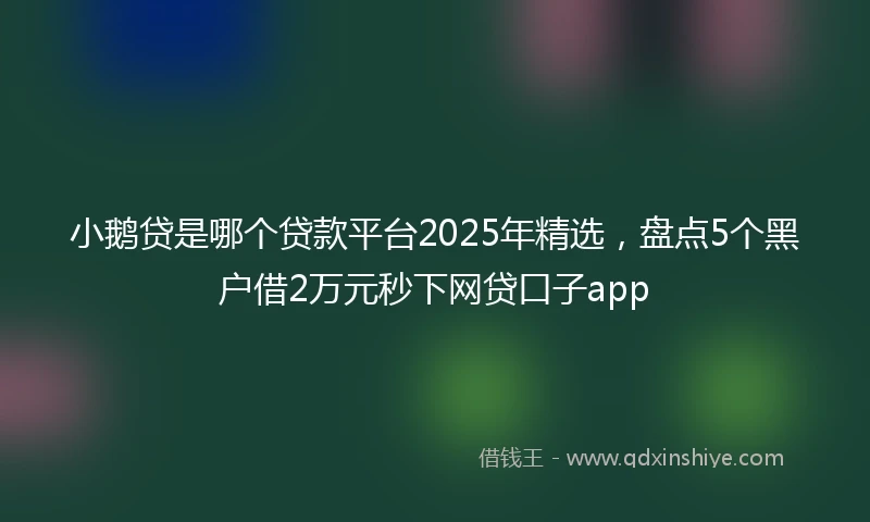 小鹅贷是哪个贷款平台2025年精选，盘点5个黑户借2万元秒下网贷口子app