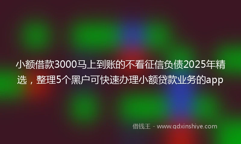 小额借款3000马上到账的不看征信负债2025年精选，整理5个黑户可快速办理小额贷款业务的app