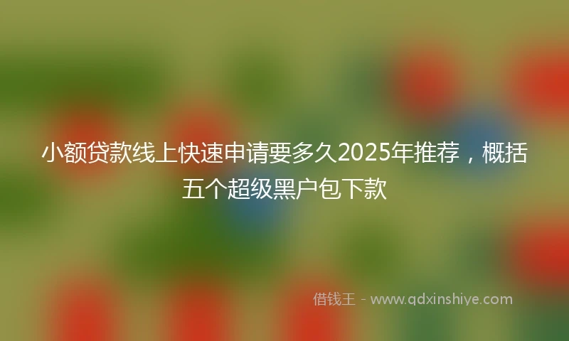 小额贷款线上快速申请要多久2025年推荐，概括五个超级黑户包下款