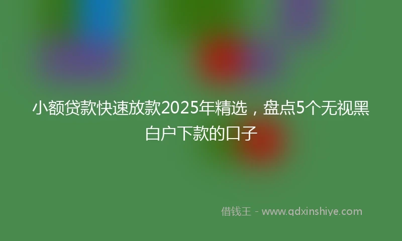 小额贷款快速放款2025年精选，盘点5个无视黑白户下款的口子