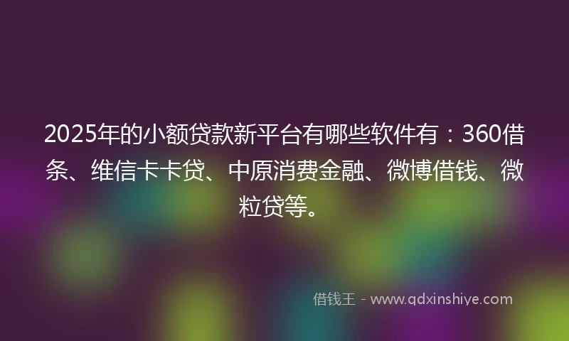 2025年的小额贷款新平台有哪些软件有：360借条、维信卡卡贷、中原消费金融、微博借钱、微粒贷等。