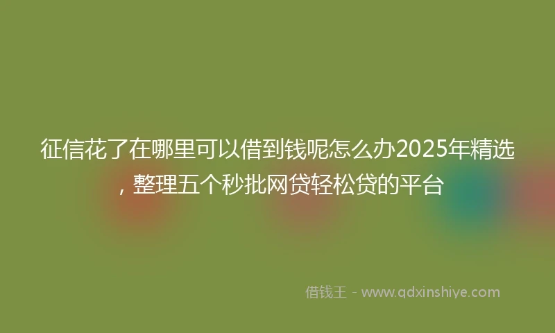征信花了在哪里可以借到钱呢怎么办2025年精选，整理五个秒批网贷轻松贷的平台
