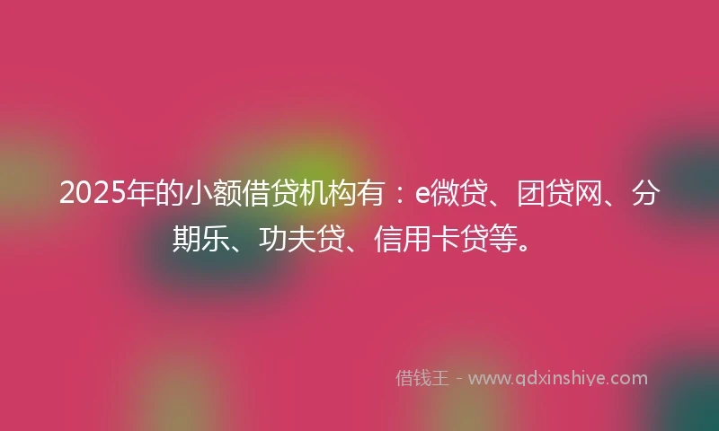 2025年的小额借贷机构有：e微贷、团贷网、分期乐、功夫贷、信用卡贷等。