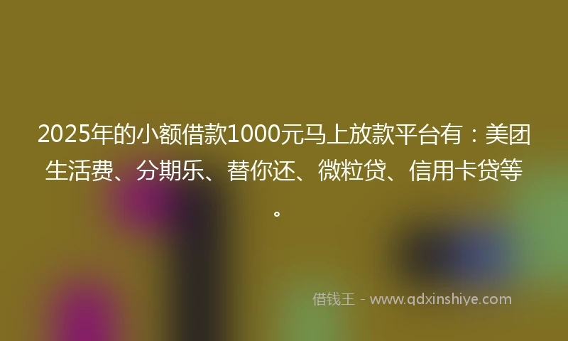 2025年的小额借款1000元马上放款平台有：美团生活费、分期乐、替你还、微粒贷、信用卡贷等。