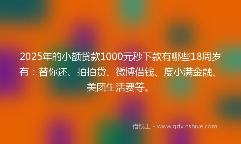 2025年的小额贷款1000元秒下款有哪些18周岁有：替你还、拍拍贷、微博借钱、度小满金融、美团生活费等。
