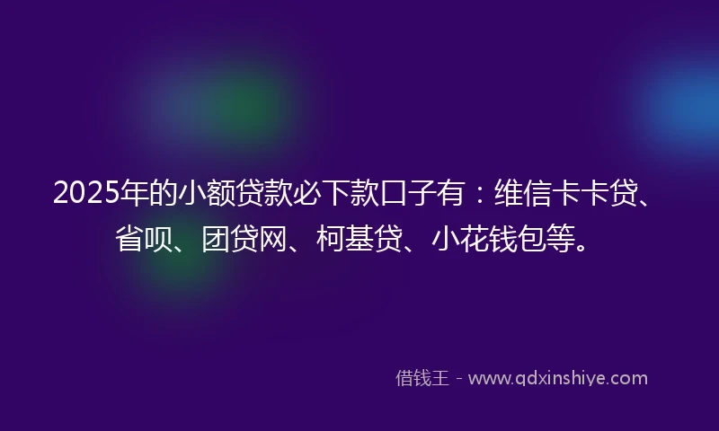 2025年的小额贷款必下款口子有：维信卡卡贷、省呗、团贷网、柯基贷、小花钱包等。