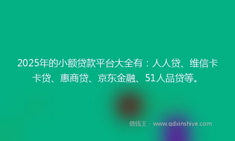 2025年的小额贷款平台大全有：人人贷、维信卡卡贷、惠商贷、京东金融、51人品贷等。