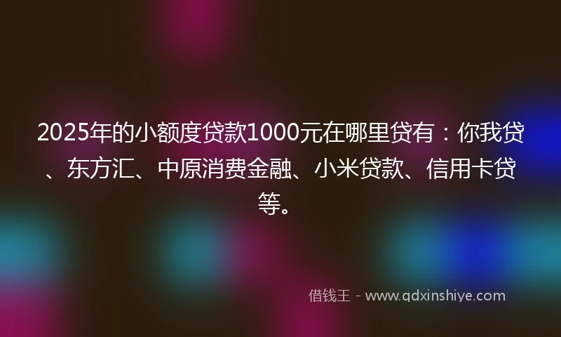 2025年的小额度贷款1000元在哪里贷有：你我贷、东方汇、中原消费金融、小米贷款、信用卡贷等。