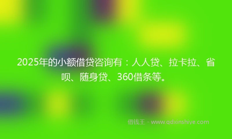 2025年的小额借贷咨询有：人人贷、拉卡拉、省呗、随身贷、360借条等。