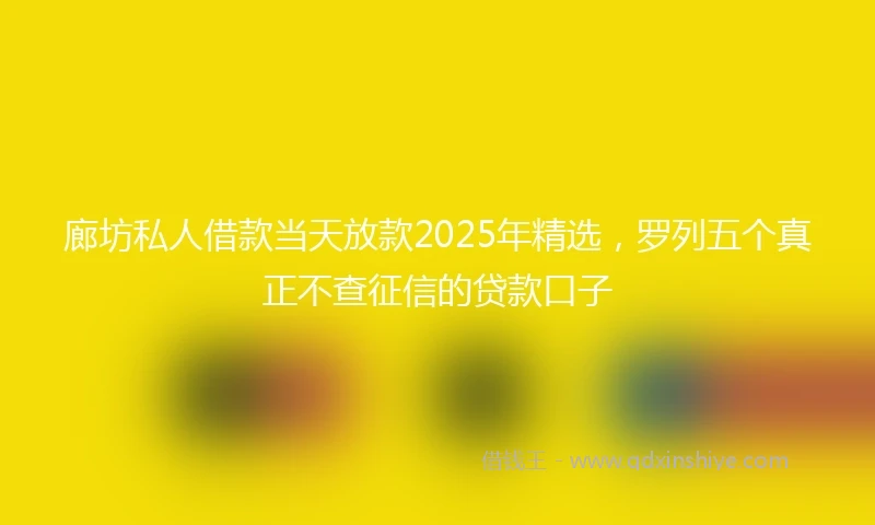 廊坊私人借款当天放款2025年精选，罗列五个真正不查征信的贷款口子