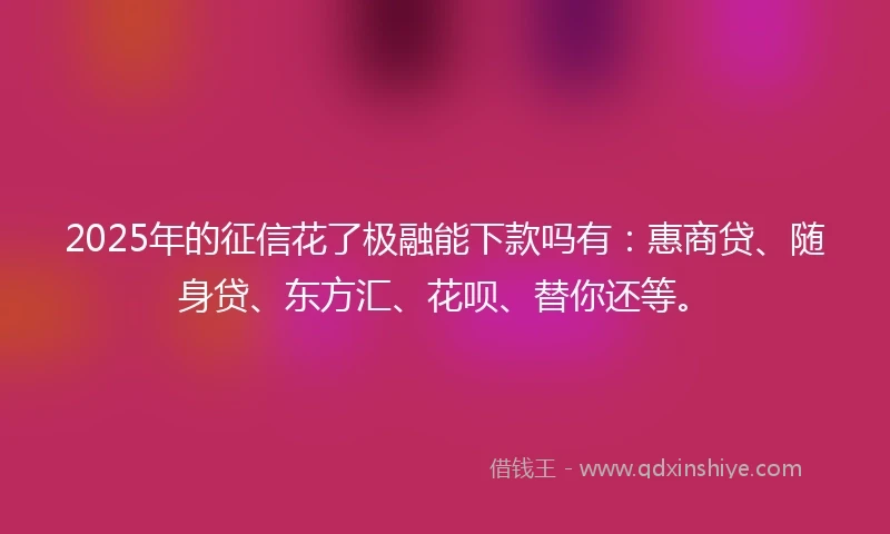 2025年的征信花了极融能下款吗有：惠商贷、随身贷、东方汇、花呗、替你还等。