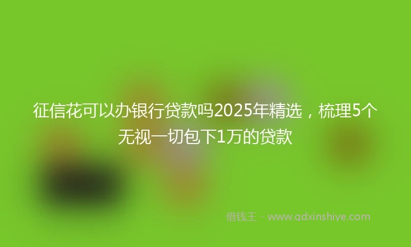 征信花可以办银行贷款吗2025年精选，梳理5个无视一切包下1万的贷款