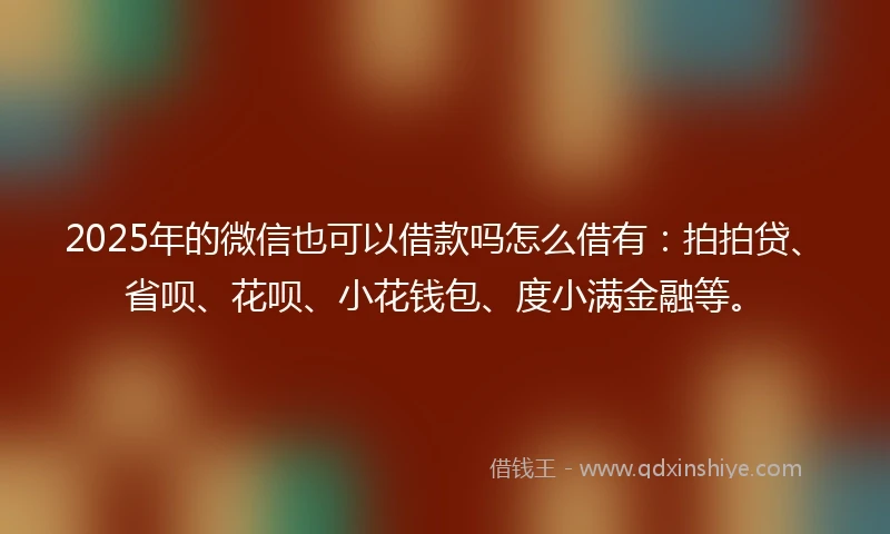 2025年的微信也可以借款吗怎么借有:拍拍贷、省呗、花呗、小花钱包、度小满金融等。