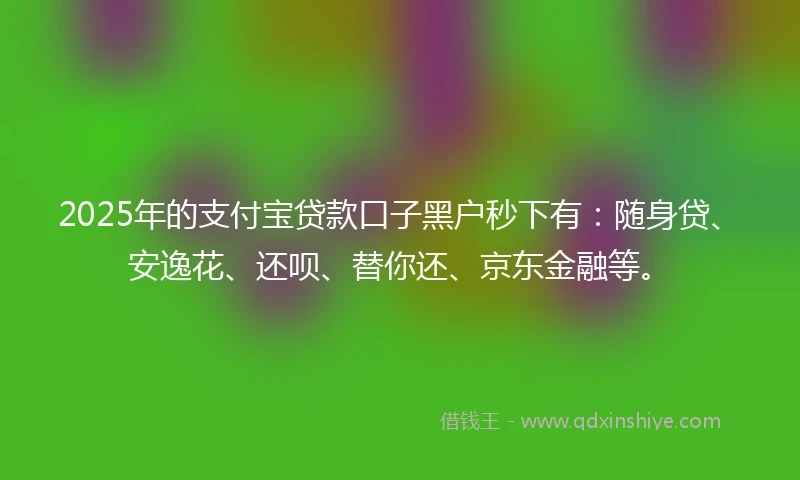 2025年的支付宝贷款口子黑户秒下有：随身贷、安逸花、还呗、替你还、京东金融等。