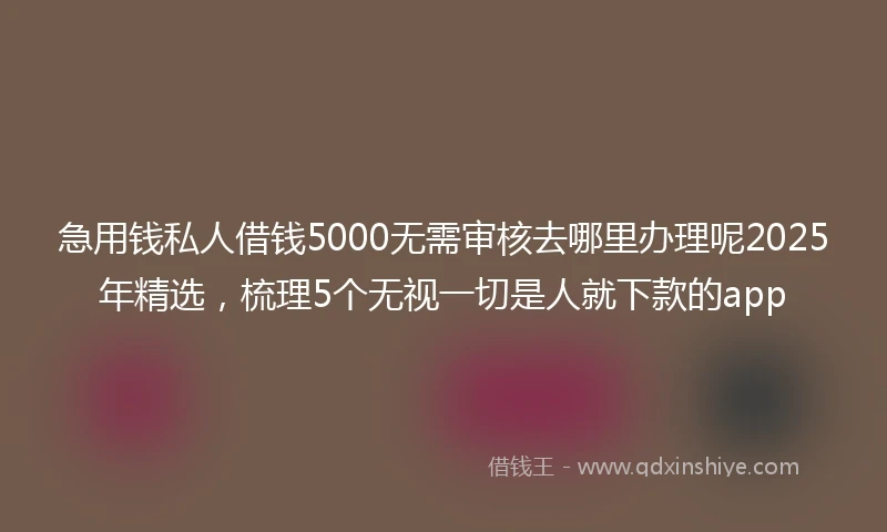 急用钱私人借钱5000无需审核去哪里办理呢2025年精选，梳理5个无视一切是人就下款的app