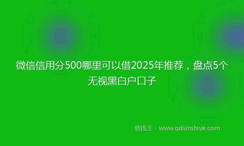 微信信用分500哪里可以借2025年推荐，盘点5个无视黑白户口子