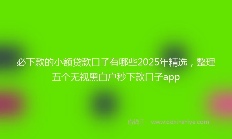 必下款的小额贷款口子有哪些2025年精选，整理五个无视黑白户秒下款口子app