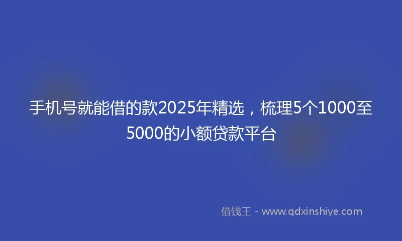 手机号就能借的款2025年精选，梳理5个1000至5000的小额贷款平台