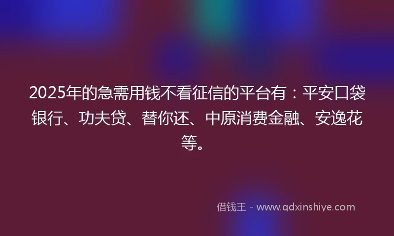 2025年的急需用钱不看征信的平台有：平安口袋银行、功夫贷、替你还、中原消费金融、安逸花等。