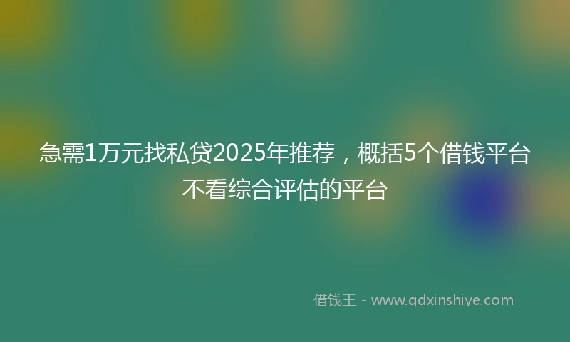 急需1万元找私贷2025年推荐，概括5个借钱平台不看综合评估的平台