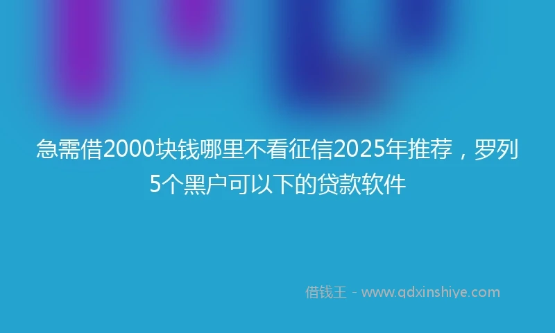 急需借2000块钱哪里不看征信2025年推荐，罗列5个黑户可以下的贷款软件