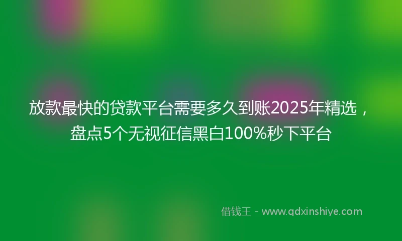 放款最快的贷款平台需要多久到账2025年精选，盘点5个无视征信黑白100%秒下平台