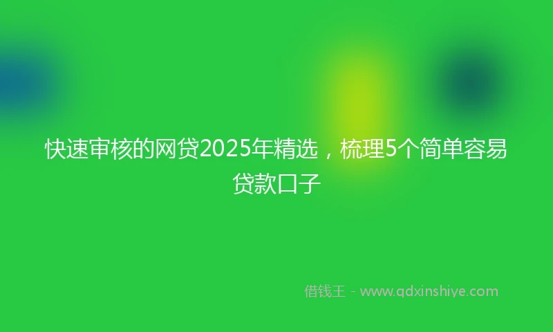 快速审核的网贷2025年精选，梳理5个简单容易贷款口子
