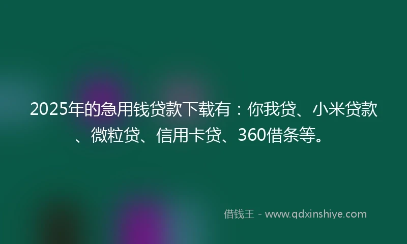 2025年的急用钱贷款下载有：你我贷、小米贷款、微粒贷、信用卡贷、360借条等。