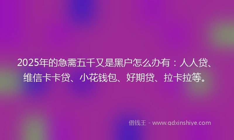 2025年的急需五千又是黑户怎么办有：人人贷、维信卡卡贷、小花钱包、好期贷、拉卡拉等。