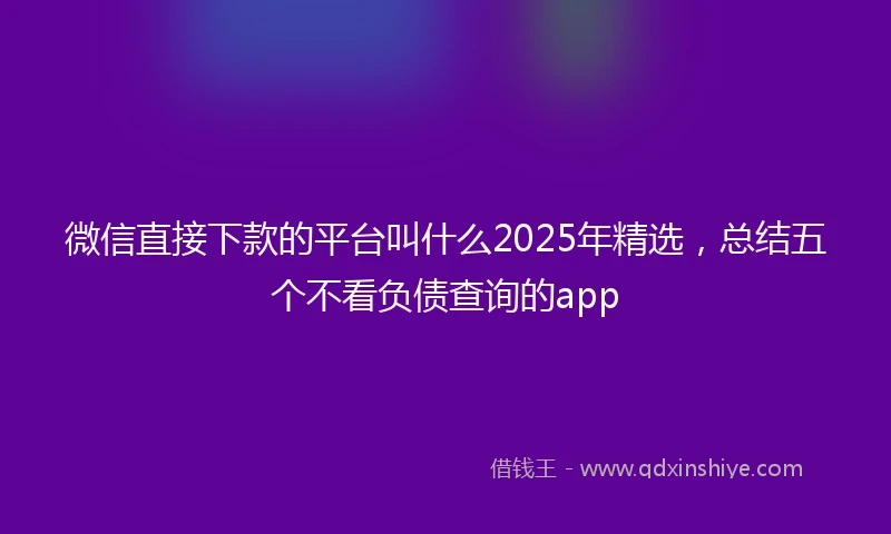微信直接下款的平台叫什么2025年精选，总结五个不看负债查询的app