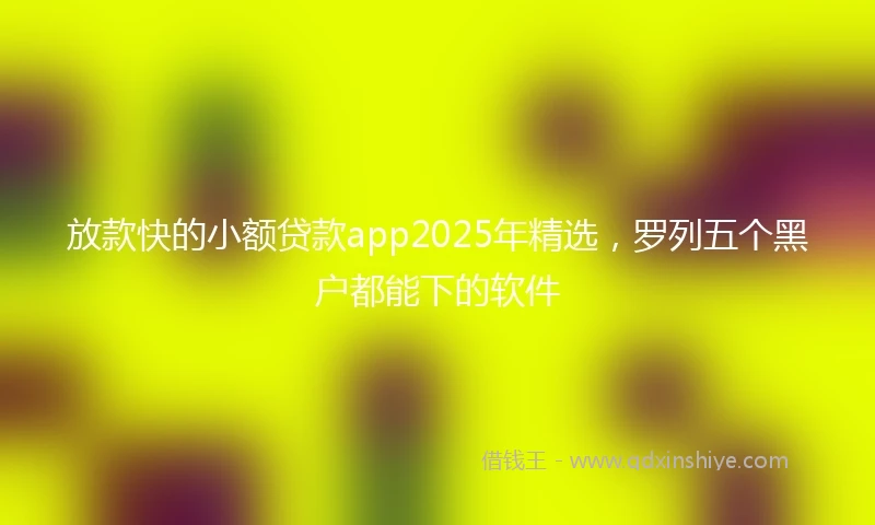 放款快的小额贷款app2025年精选，罗列五个黑户都能下的软件
