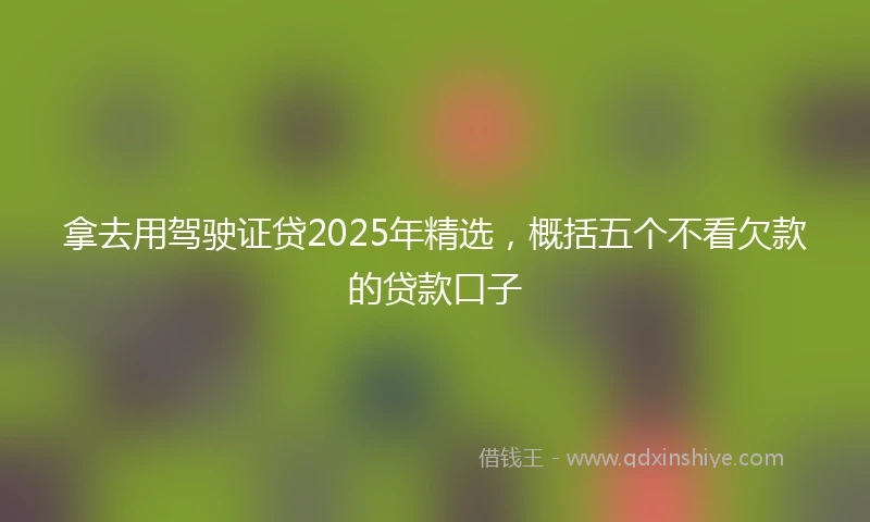 拿去用驾驶证贷2025年精选，概括五个不看欠款的贷款口子