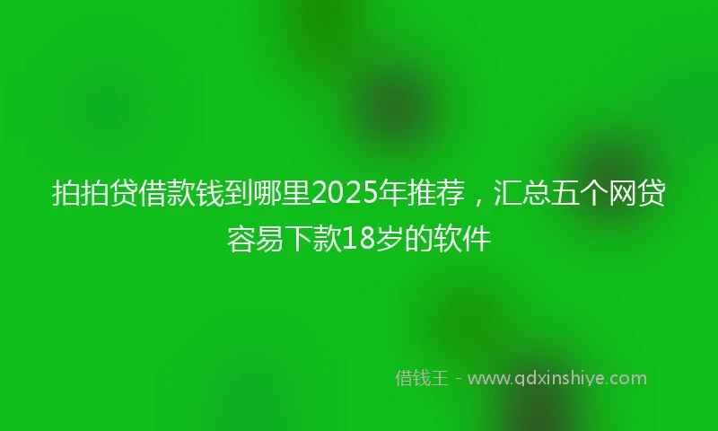 拍拍贷借款钱到哪里2025年推荐，汇总五个网贷容易下款18岁的软件